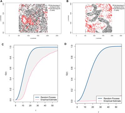 Methods to Determine and Analyze the Cellular Spatial Distribution Extracted From Multiplex Immunofluorescence Data to Understand the Tumor Microenvironment